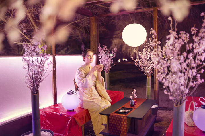 『NAKED桜まつり 2024 世界遺産・二条城』見どころチェック