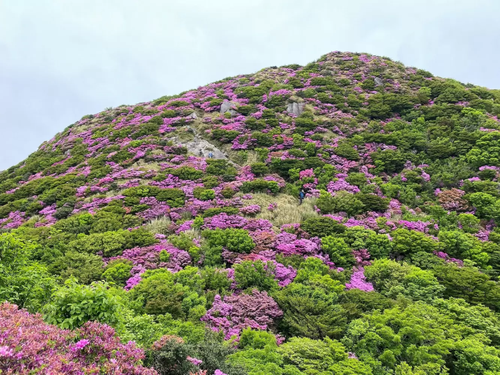 Unzen Amakusa National Park's 90th anniversary 