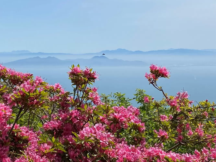 Unzen Amakusa National Park's 90th anniversary 