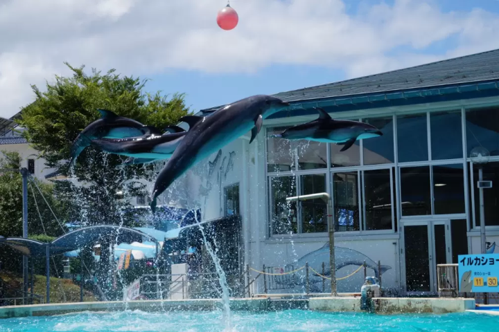 [Ishikawa] A trip to appreciate art and culture! Popular sightseeing spots to visit by rental car