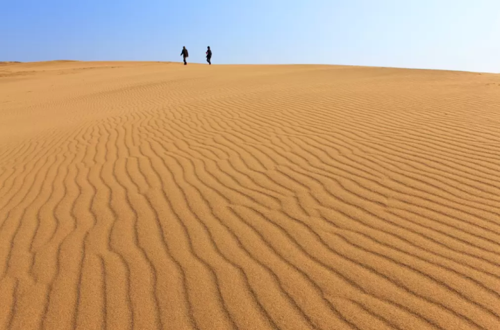 [Tottori] Enjoy nature and activities! A trip to Tottori to enjoy by car