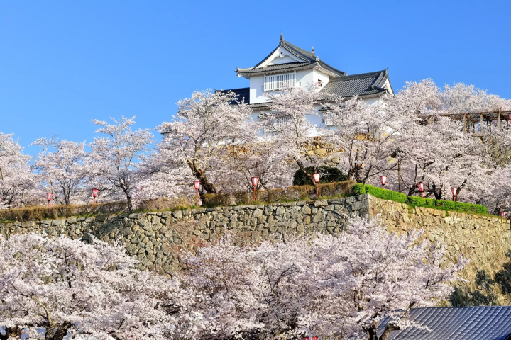 【2024最新】台灣虎航直飛超方便!日本「岡山」推薦景點8選