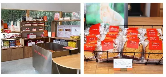 여행 도중에 들르고 싶다! 구마모토현 야마가시의 인기 NEW 숍 4선