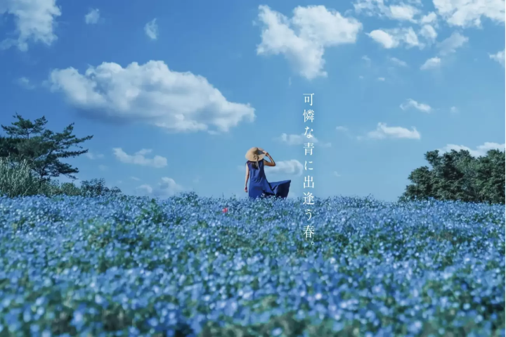 10 Golden Week Events: Enjoy the Long Holiday Around Tokyo