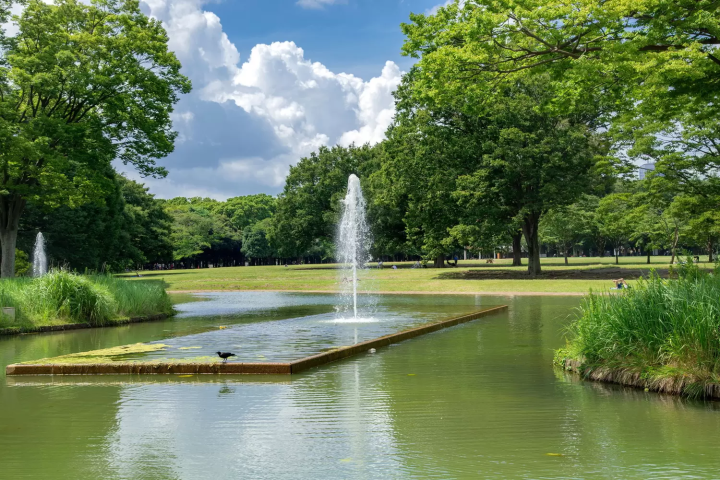 Yoyogi Park