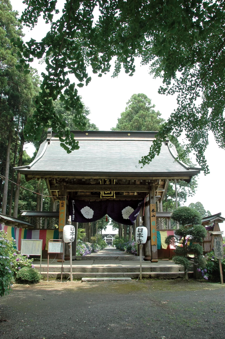 [千葉縣] 多古町、觀光景點、景點、土特產等完整指南