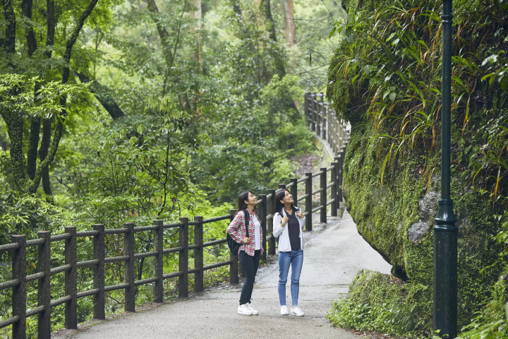 ห่างจาก โอซาก้า เพียง 30 นาที “Fresh Green Carnival” ของมิโนะ ให้คุณได้สัมผัสกับความเขียวขจีสดชื่นของธรรมชาติทั้งร่างกายและจิตใจ!