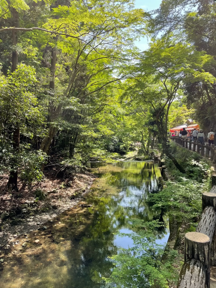 ห่างจาก โอซาก้า เพียง 30 นาที “Fresh Green Carnival” ของมิโนะ ให้คุณได้สัมผัสกับความเขียวขจีสดชื่นของธรรมชาติทั้งร่างกายและจิตใจ!