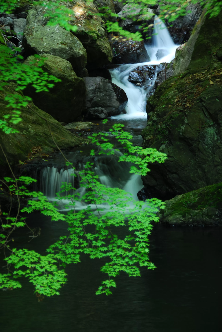 ห่างจาก โอซาก้า เพียง 30 นาที “Fresh Green Carnival” ของมิโนะ ให้คุณได้สัมผัสกับความเขียวขจีสดชื่นของธรรมชาติทั้งร่างกายและจิตใจ!