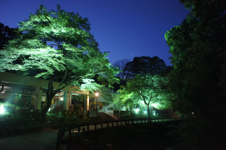 "Summer Festa Minoh Park 2025" ที่ Minoh ห่างจาก โอซาก้า ก้า 30 นาที มีประวัติศาสตร์ยาวนานถึง 40 ปี