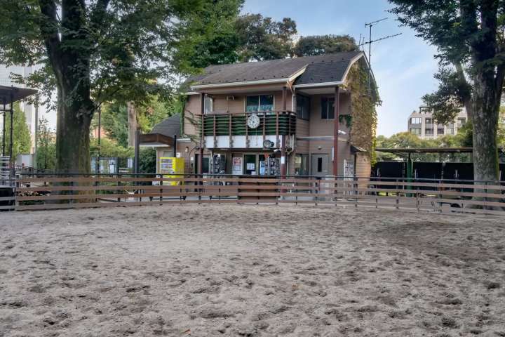 Yoyogi Pony Park