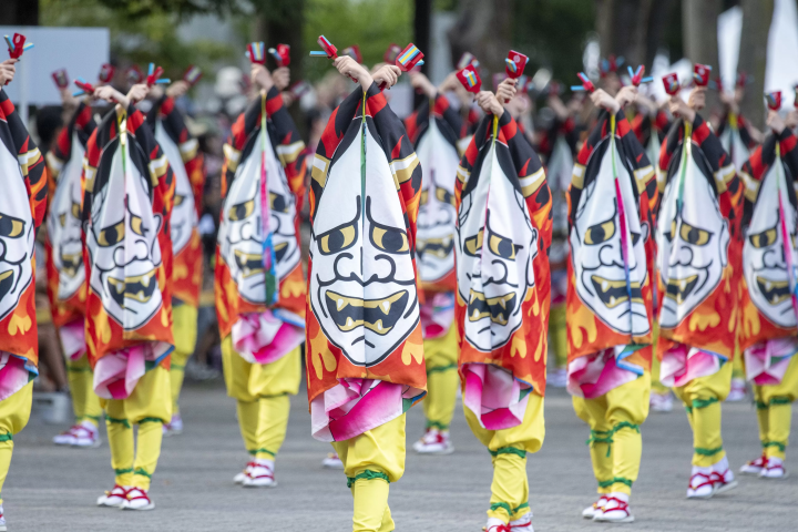 日本最大級のお祭り、高知のよさこい祭りの情熱と興奮を体感！【2024年夏開催】