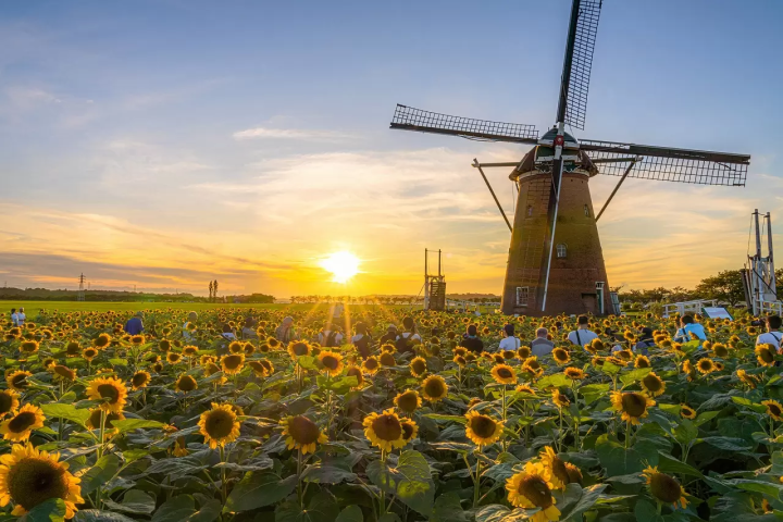 Flowers in Japan - Japanese flowers