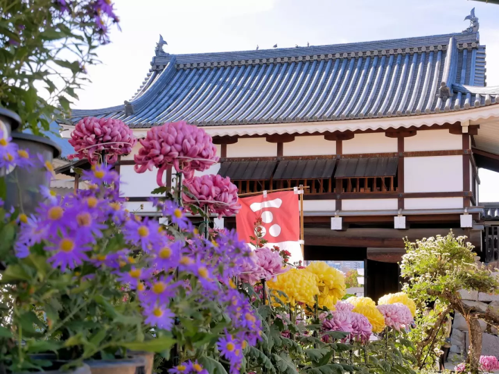 Flowers in Japan - Japanese flowers