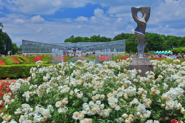 【2024】桜の次は藤の花！東京で人気の藤棚名所10選！