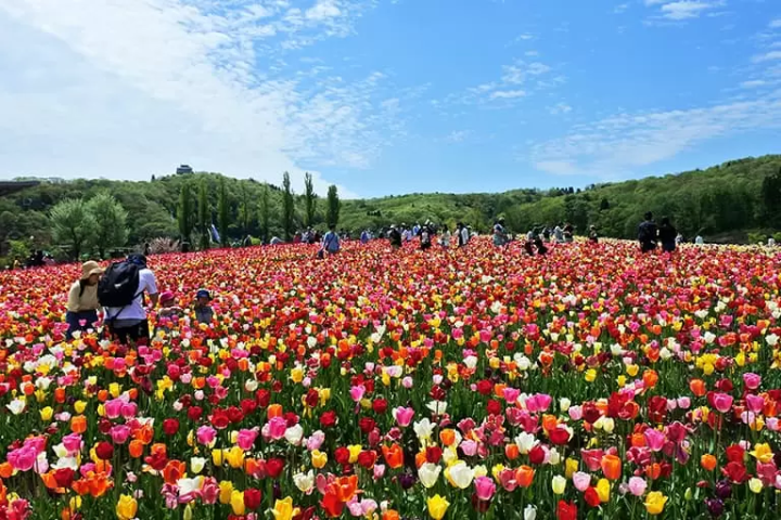 【니가타】 일상에서 떨어져 대자연을 만끽하는 여행! 렌터카로 돌아다니는 힐링 관광 명소