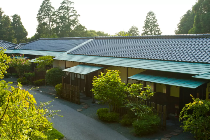 《风之谷隐居》春天的到来。花时间感受自然。