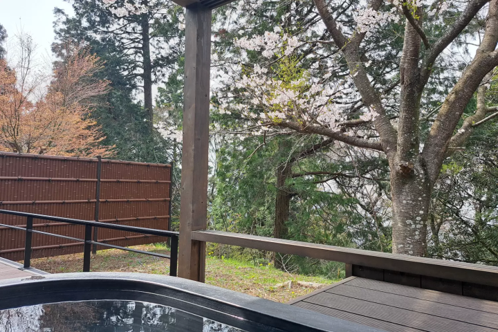 《风之谷隐居》春天的到来。花时间感受自然。