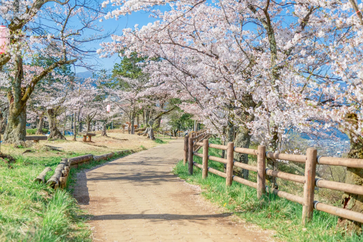 © 모치다 히로미 사무소 