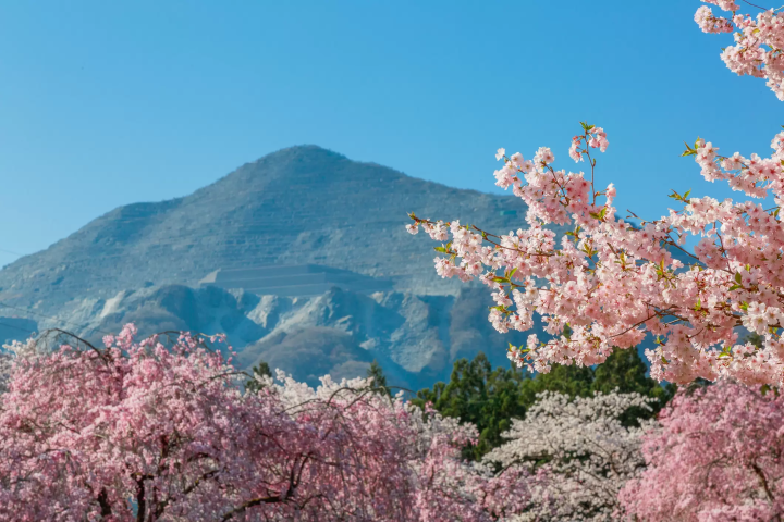 © 모치다 히로미 사무소 