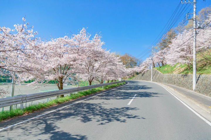 © 모치다 히로미 사무소 