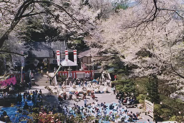 岩手/远野春天活动信息2024：远野春天