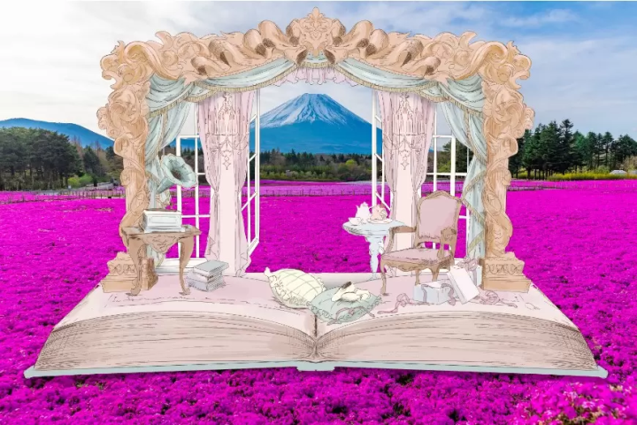 2024年 富士芝櫻祭典