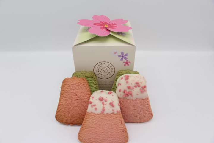 2024年 富士芝櫻祭典