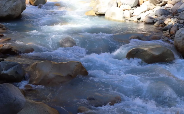 沿著立山黑部阿爾卑斯山脈路線，可以欣賞到絕美的景色和賞花勝地！