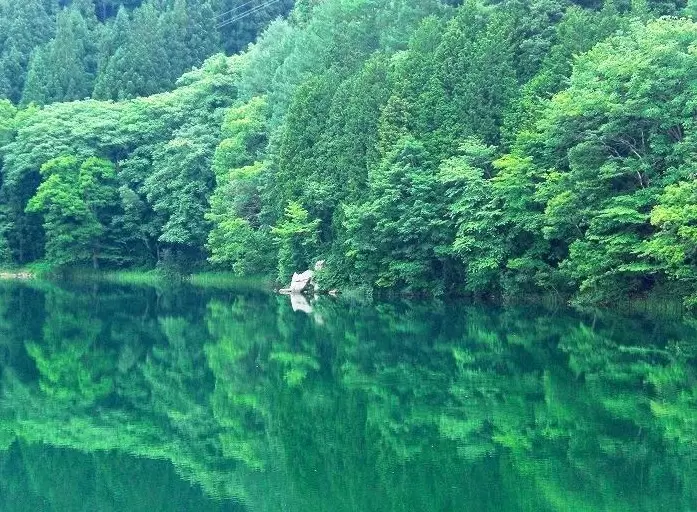 沿著立山黑部阿爾卑斯山脈路線，可以欣賞到絕美的景色和賞花勝地！