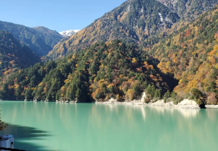 沿著立山黑部阿爾卑斯山脈路線，可以欣賞到絕美的景色和賞花勝地！