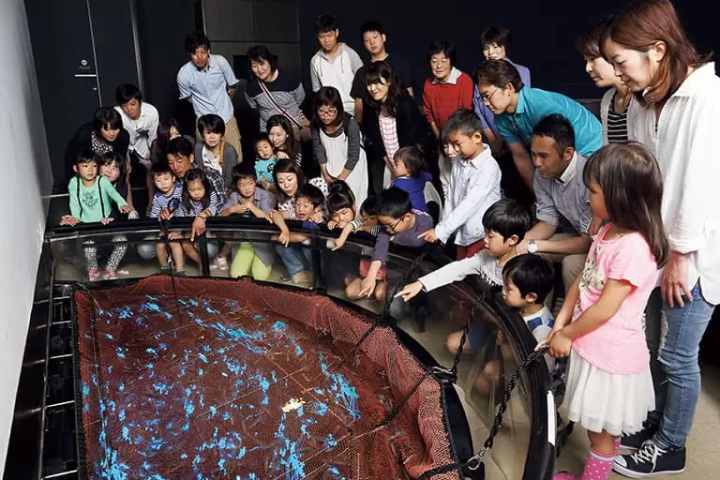 [Toyama] When it comes to sightseeing in Toyama, this is the place to go! Popular sightseeing spots to visit by rental car