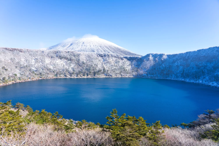 snow covered trees and pond
