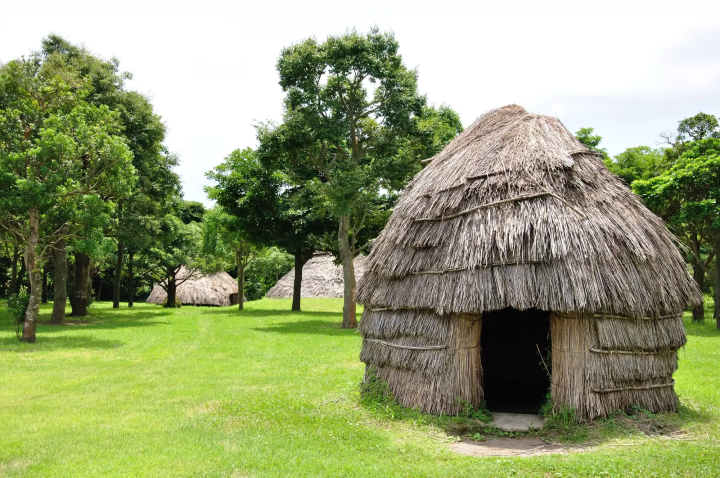 thatched hut pit dwelling