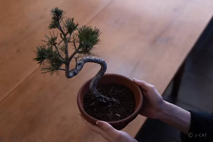 Experience traditional Japanese craftsmanship and art in Tokyo