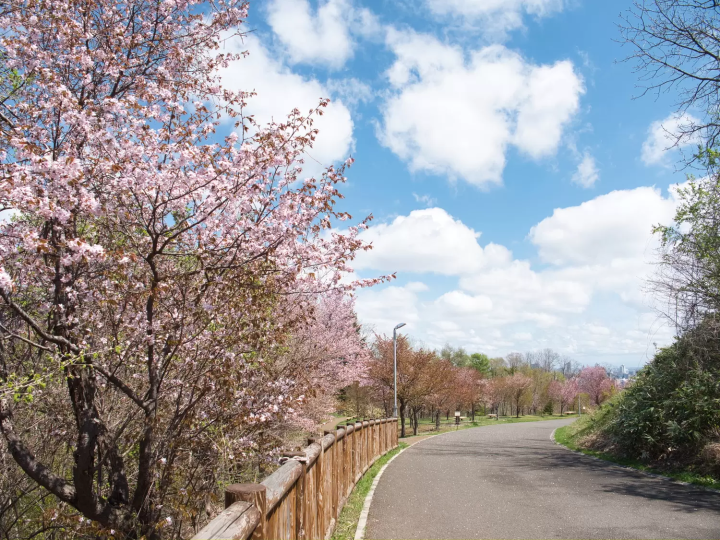 Asahiyama Memorial Park