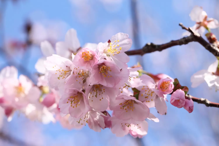 Civil Engineering Research Institute for Cold Region