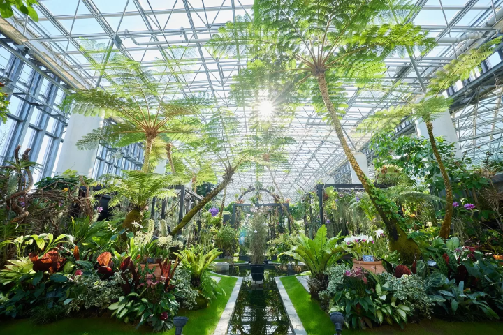 Awaji Island: 12 Things to Do, Food, Anime Parks, and More!