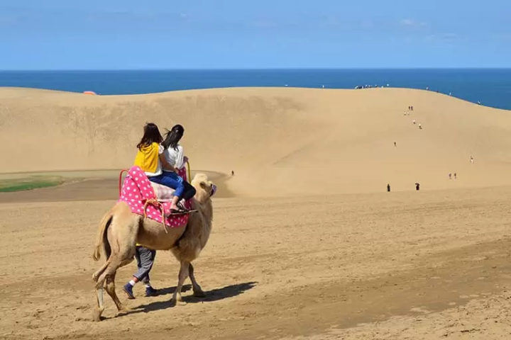 [Tottori] Enjoy nature and activities! A trip to Tottori to enjoy by car