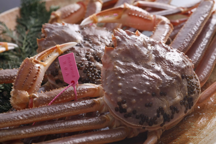 เพลิดเพลินกับกีฬาทางน้ำ ปูมัตสึบะ และเล่นสกี! วิธีเพลิดเพลินไปกับเมืองคามิ จังหวัดเฮียวโกะแยกตามพื้นที่