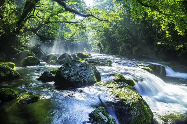 Summer in Japan 2024: Weather and Travel Tips for June-August