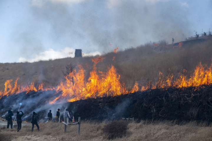 Summer 2025: Enjoy Aso in Early Summer! Things to See Around the Aso Volcano Museum