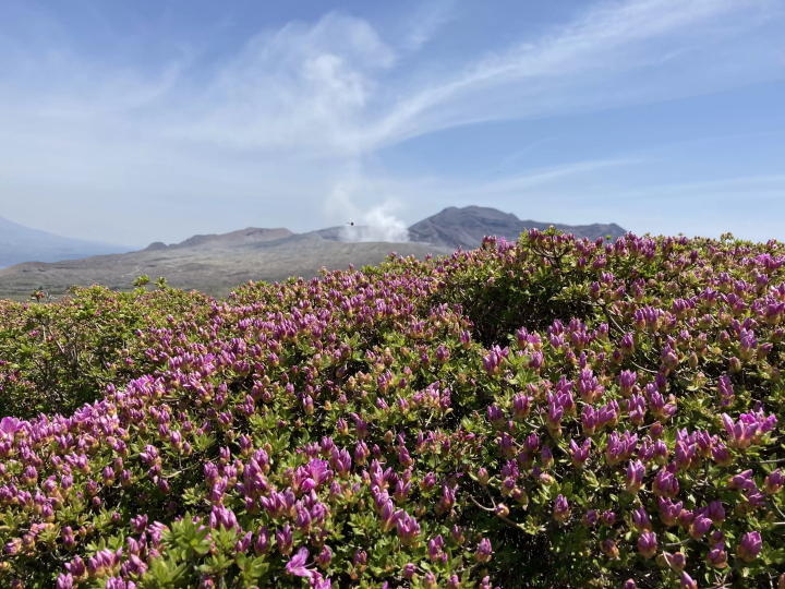 Summer 2025: Enjoy Aso in Early Summer! Things to See Around the Aso Volcano Museum