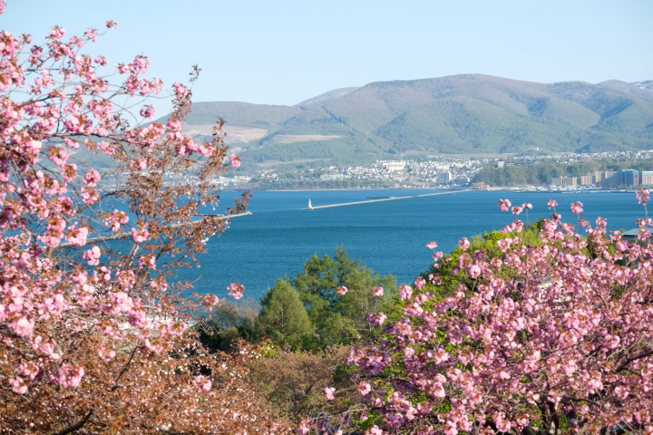 小樽1、2日景點行程整理:觀光客&在地人去的全征服!