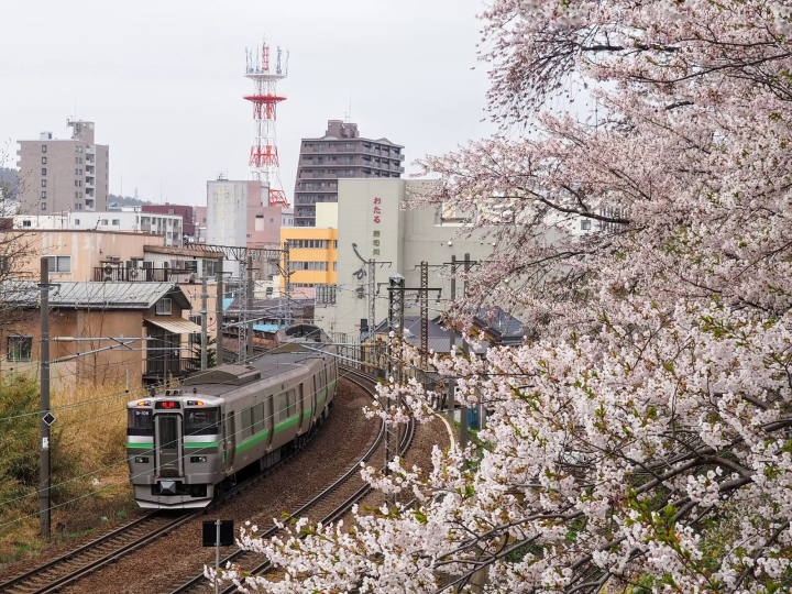 小樽1、2日景點行程整理:觀光客&在地人去的全征服!