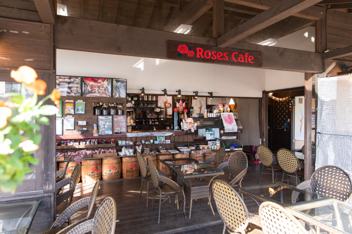 来大分旅游时必去的地方！壮观的花卉园 Kuju Flower Park 是怎样的？