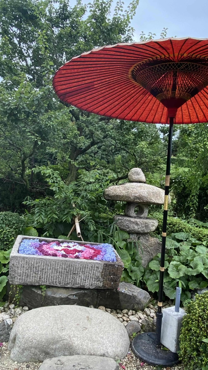 风早之里～绣球花祭～