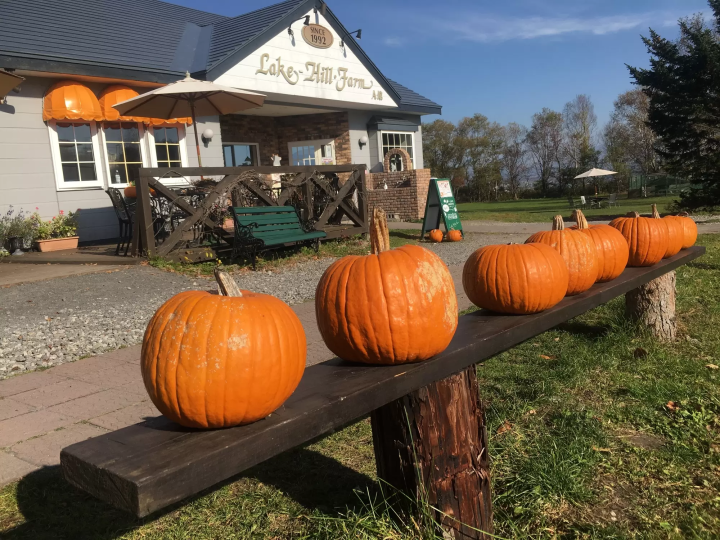 洞爺湖Lake Hill Farm