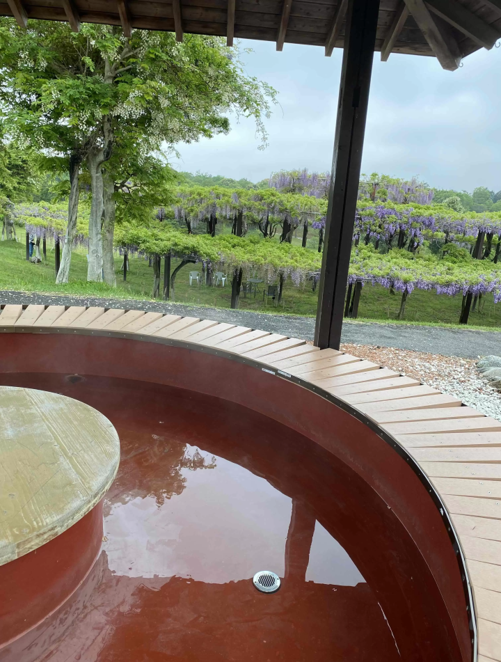 风早之里～紫藤节～