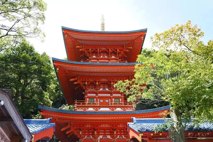 Experience Authentic Japanese Traditions! 10 Cultural Experiences in Western Japan